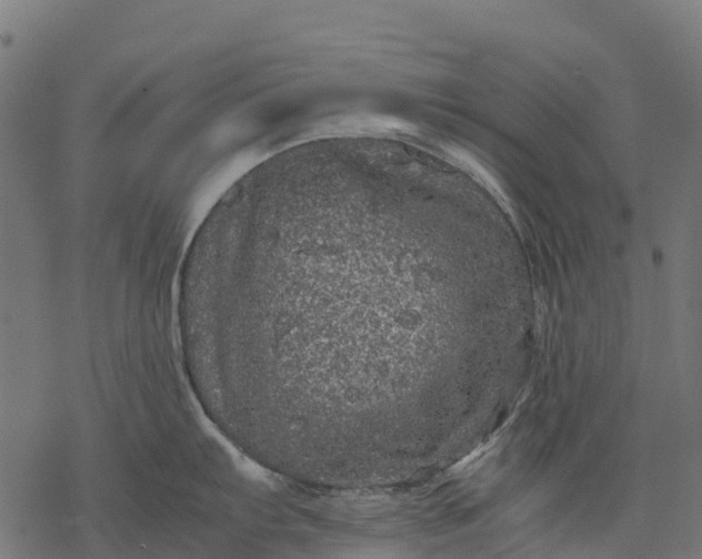 X0000077291103200611031544