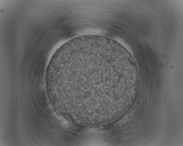 X0000077291104200611031544