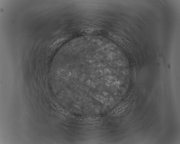 X0000077291105200611031543