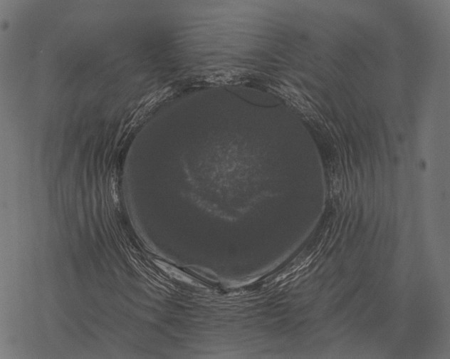 X0000077291106200611031543