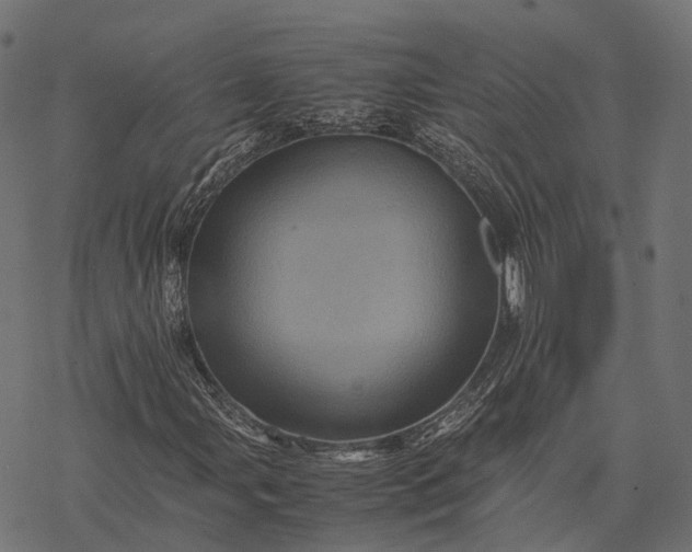 X0000077291107200611031543