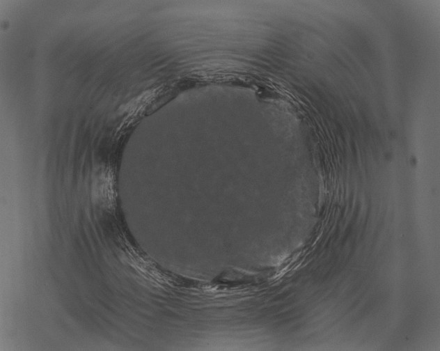 X0000077291108200611031543