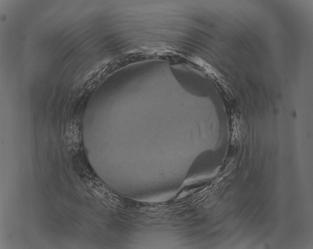 X0000077291110200611031543