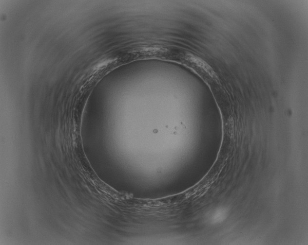 X0000077291111200611031543