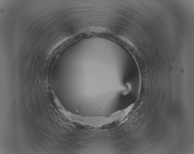 X0000077291112200611031543