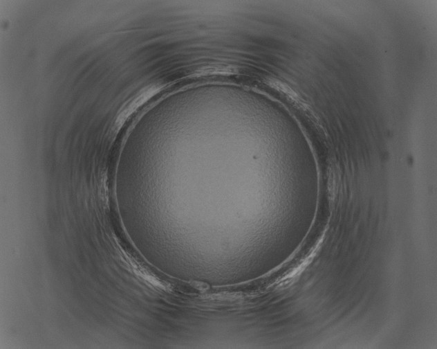 X0000077291113200611031543