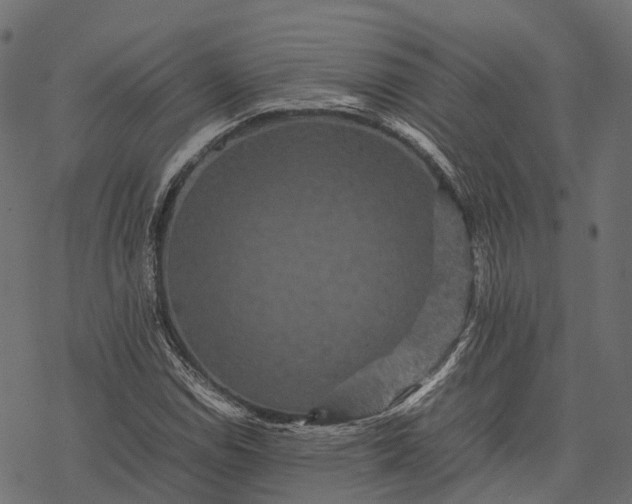 X0000077291114200611031543