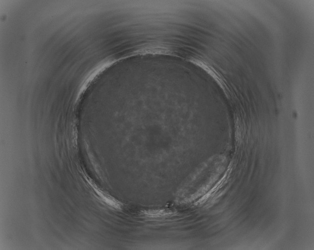 X0000077291115200611031543