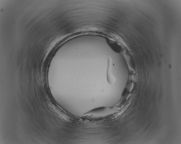 X0000077291116200611031543