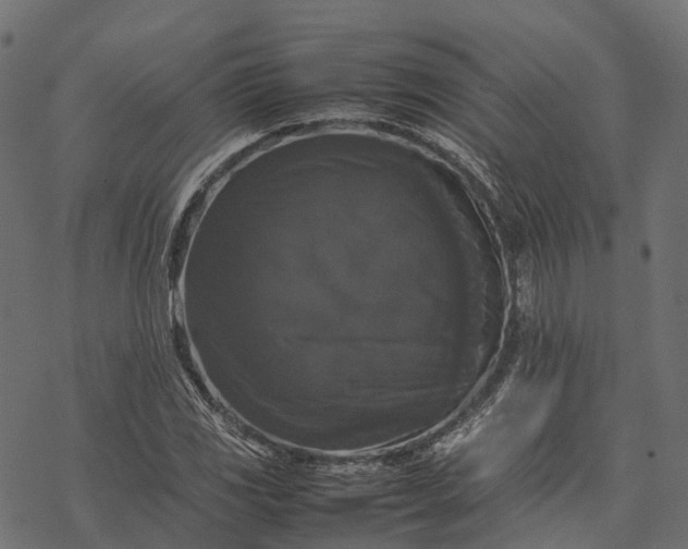 X0000077291117200611031543