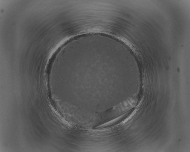 X0000077291118200611031543