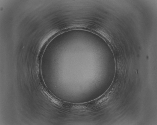 X0000077291119200611031543