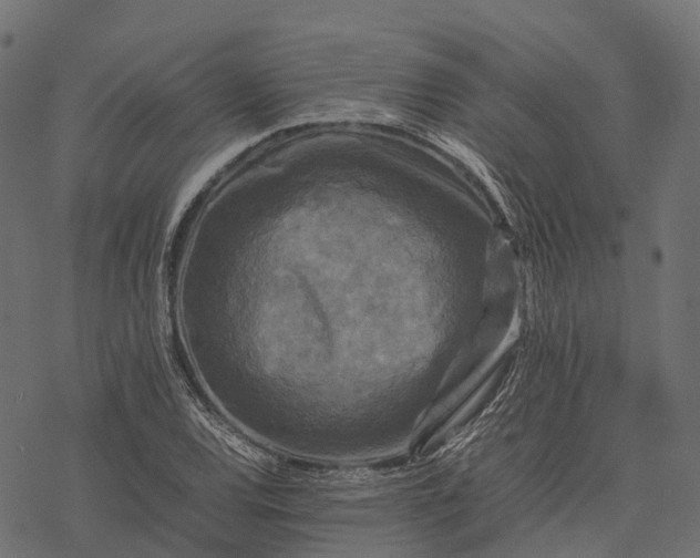 X0000077291120200611031543