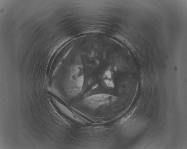 X0000077291121200611031543