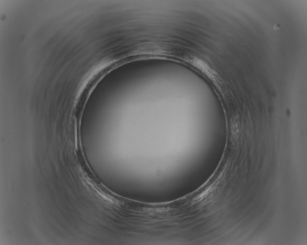 X0000077291123200611031543