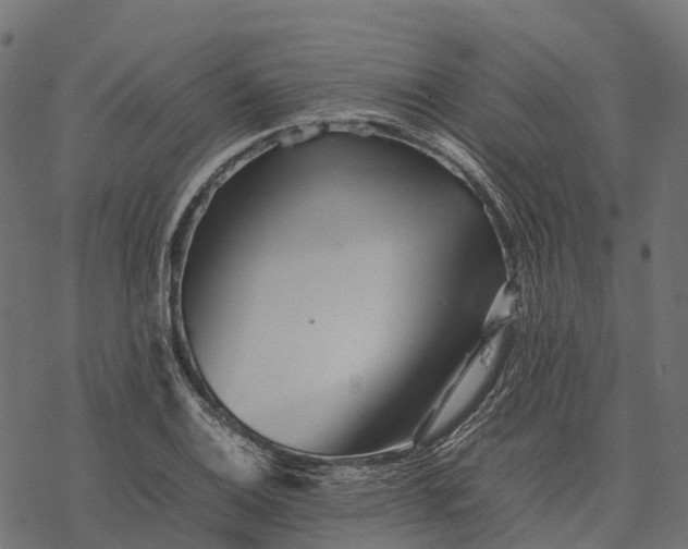 X0000077291124200611031543