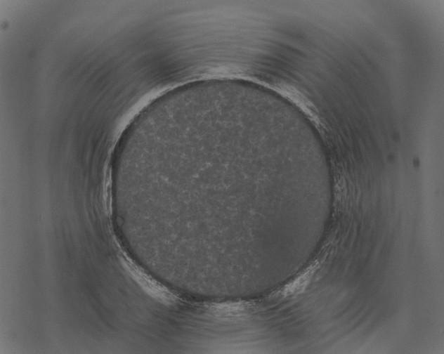 X0000077291126200611031543