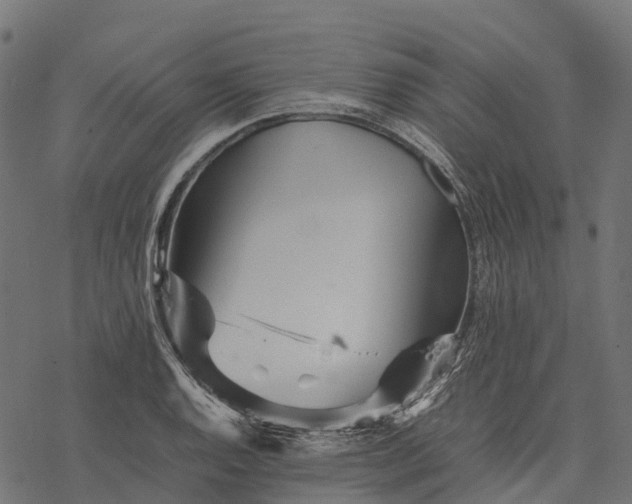 X0000077291128200611031543