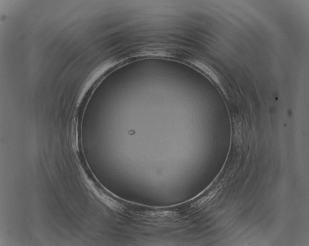 X0000077291131200611031543