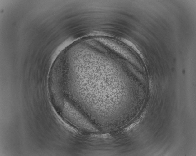 X0000077291133200611031544