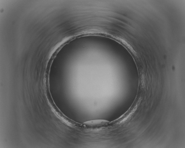 X0000077291134200611031544