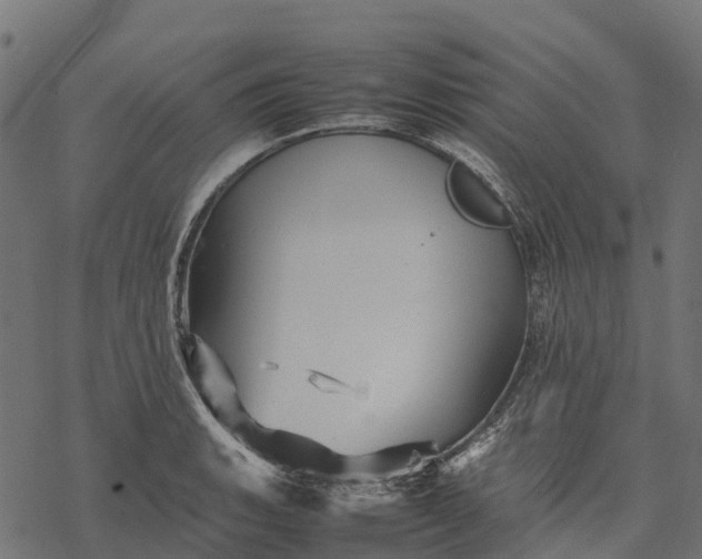 X0000077291135200611031544