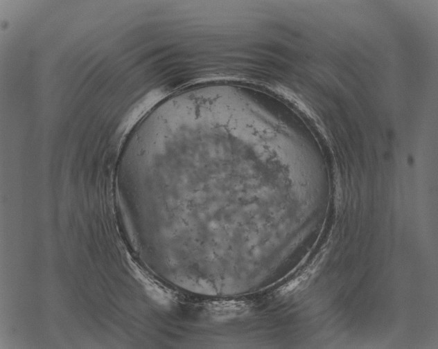 X0000077291137200611031544