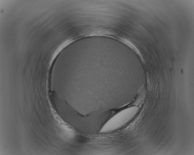 X0000077291138200611031544