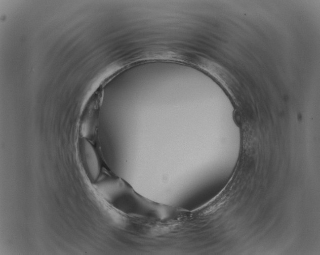 X0000077291139200611031544