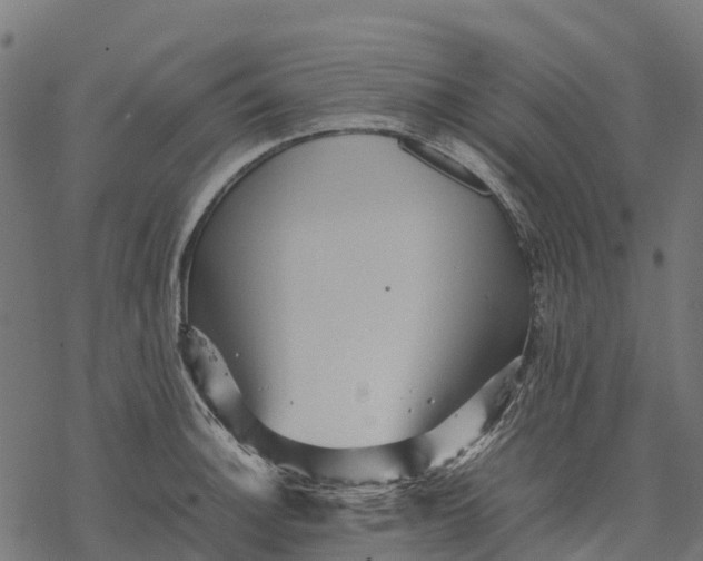 X0000077291140200611031544