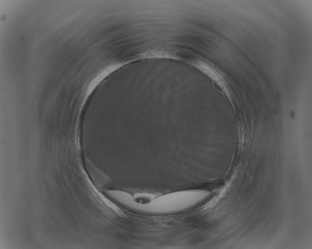 X0000077291141200611031544