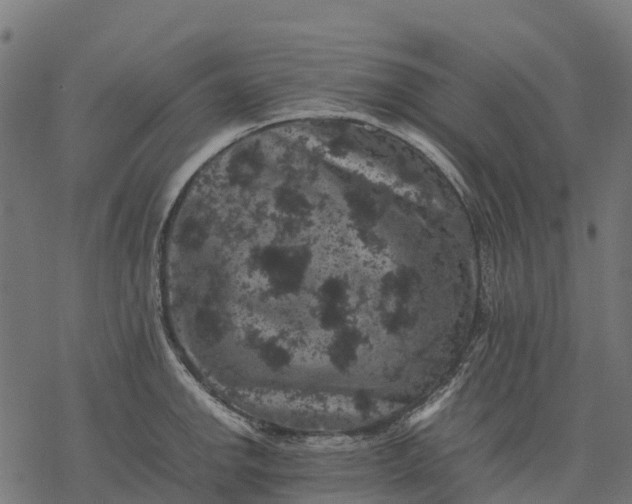 X0000077291142200611031544