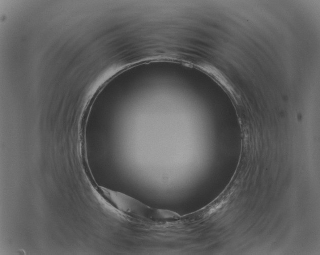 X0000077291143200611031544