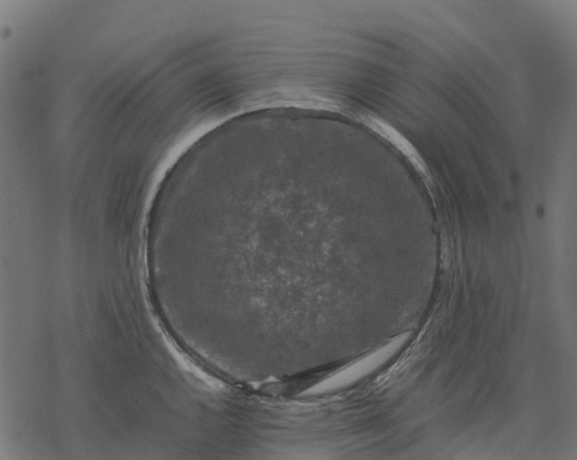 X0000077291144200611031544