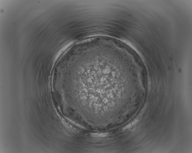 X0000077291145200611031544