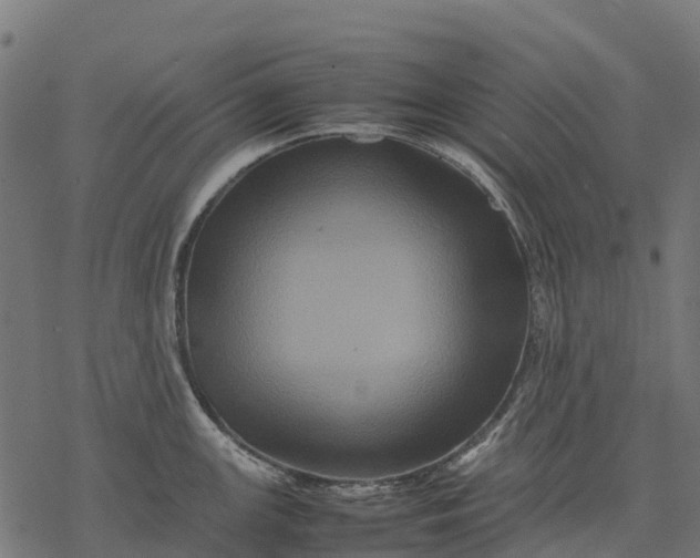 X0000077291147200611031544