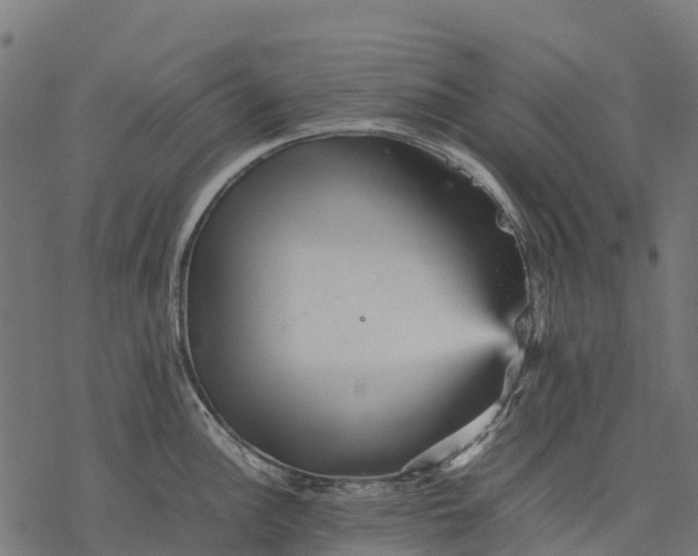 X0000077291148200611031544