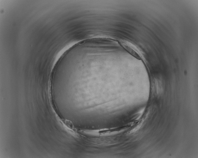 X0000077291149200611031544