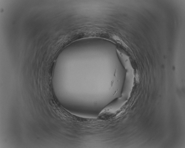 X0000077291153200611031543