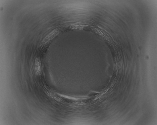 X0000077291154200611031543