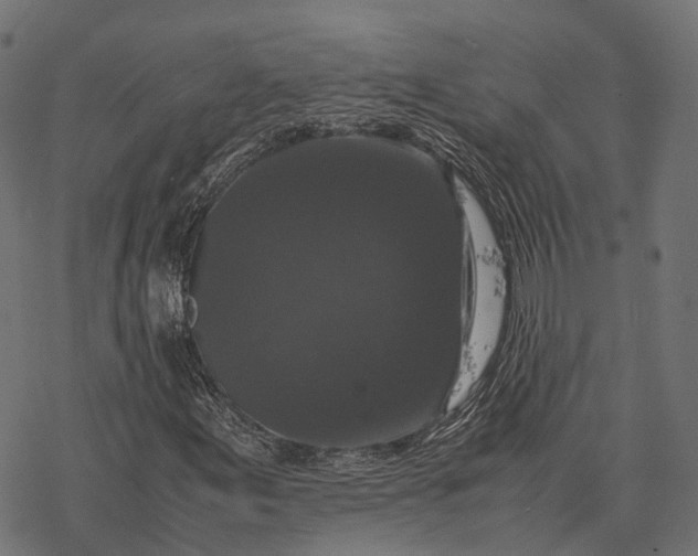 X0000077291155200611031543