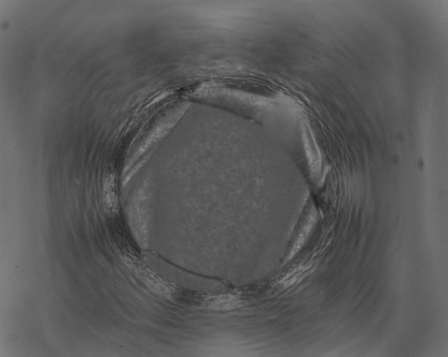 X0000077291156200611031543