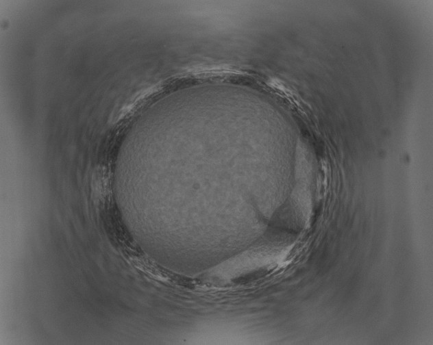 X0000077291157200611031543