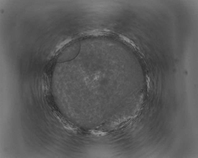 X0000077291158200611031543