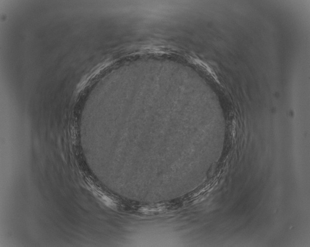 X0000077291159200611031543