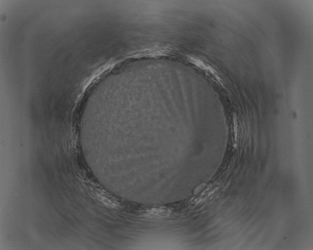 X0000077291160200611031543