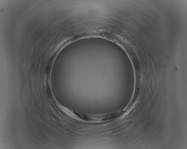 X0000077291161200611031543