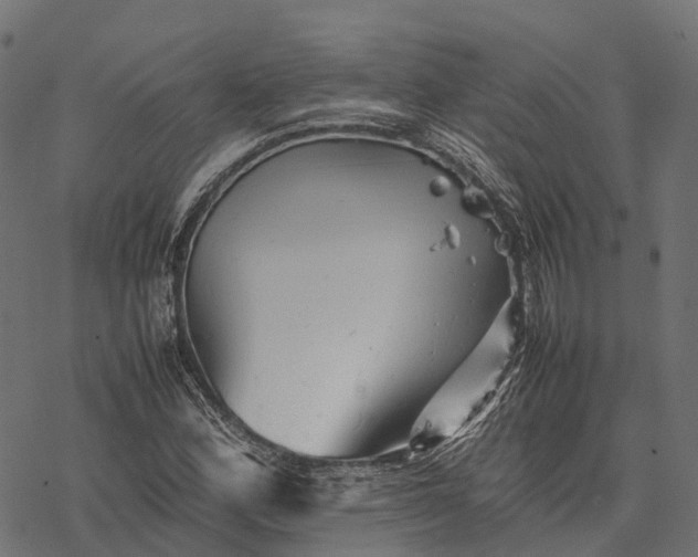 X0000077291164200611031543