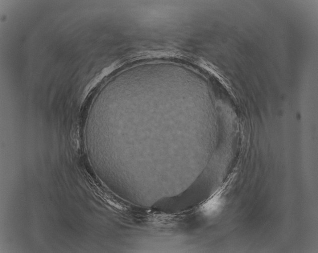 X0000077291165200611031543