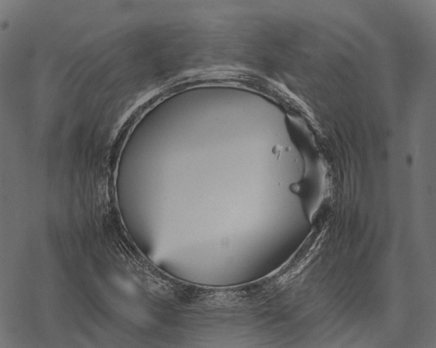 X0000077291166200611031543